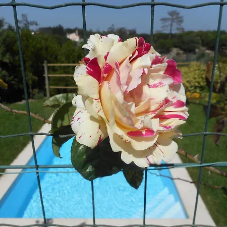 House Cesaredas Holiday home